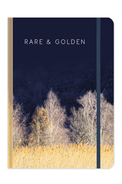 ΣΗΜΕΙΩΜΑΤΑΡΙΟ_SENTI_1725_RARE_&_GOLDEN